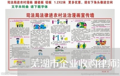 芜湖市企业收购律师法律咨询