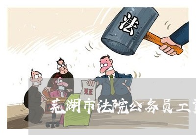 芜湖市法院公务员工资