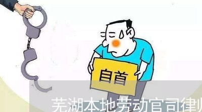 芜湖本地劳动官司律师法律咨询