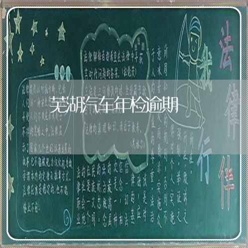 芜湖汽车年检逾期 芜湖汽车年检逾期
