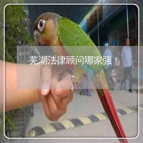 芜湖法律顾问哪家强/2023061716158