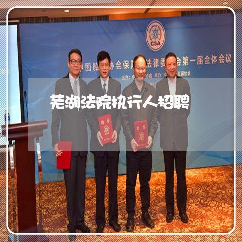 芜湖法院执行人招聘 芜湖法院执行人招聘