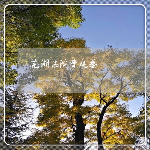 芜湖法院曹晓艺