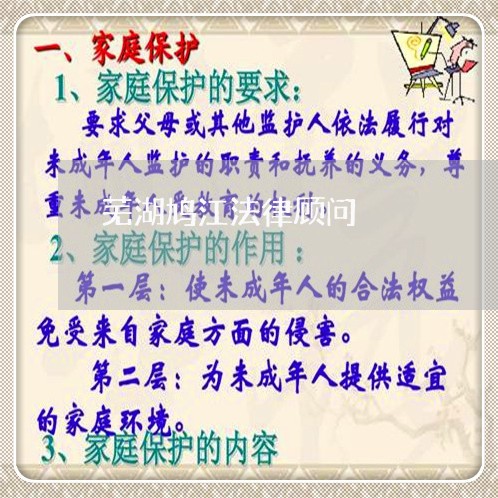 芜湖鸠江法律顾问/2023061707168 芜湖鸠江法律顾问/2023061707168