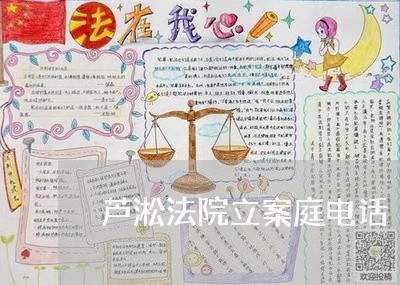 芦淞法院立案庭电话 芦淞法院立案庭电话