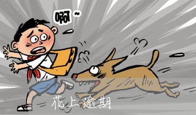 花上逾期 花上逾期