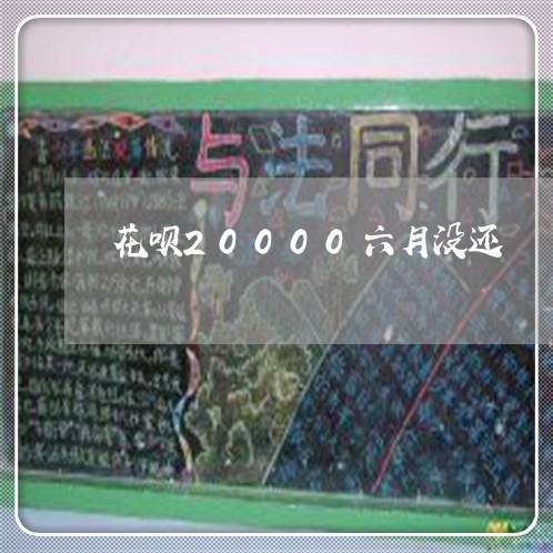 花呗20000六月没还/2023012193048 花呗20000六月没还/2023012193048