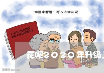 花呗2020年升级上征信了/2023022692935