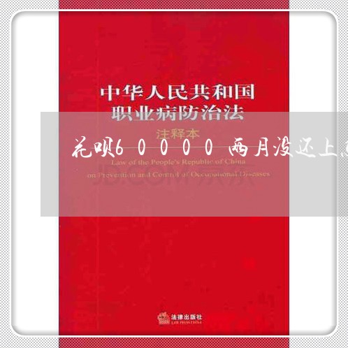 花呗60000两月没还上怎么处理/2023020571504