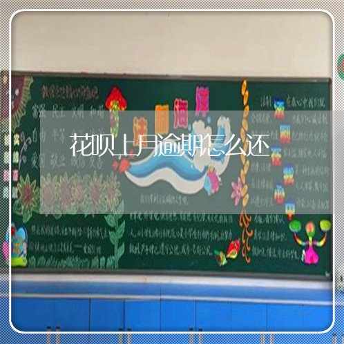 花呗上月逾期怎么还/2023020577471 花呗上月逾期怎么还/2023020577471