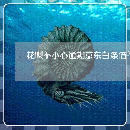 花呗不小心逾期京东白条借不了了 花呗不小心逾期京东白条借不了了