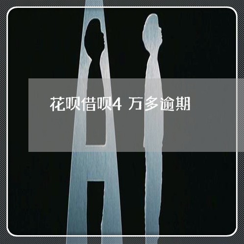 花呗借呗4万多逾期/2023030160785 花呗借呗4万多逾期/2023030160785
