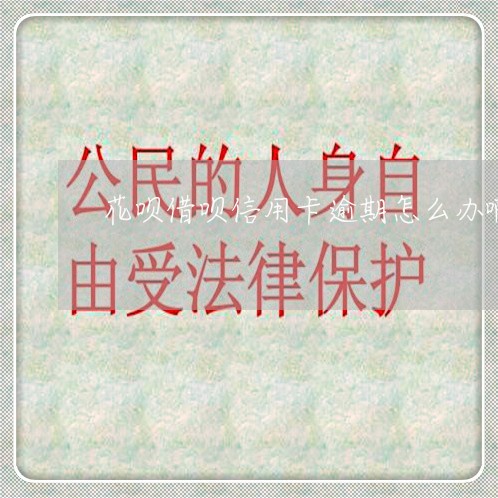 花呗借呗信用卡逾期怎么办啊