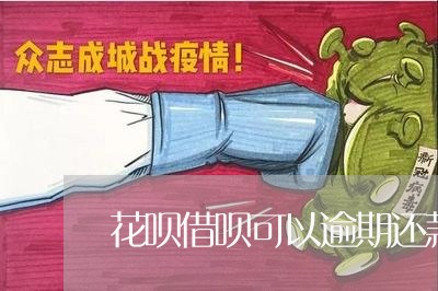 花呗借呗可以逾期还款吗/2023020566392