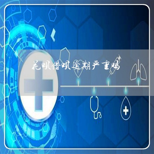 花呗借呗逾期严重吗/2023022709483 花呗借呗逾期严重吗/2023022709483