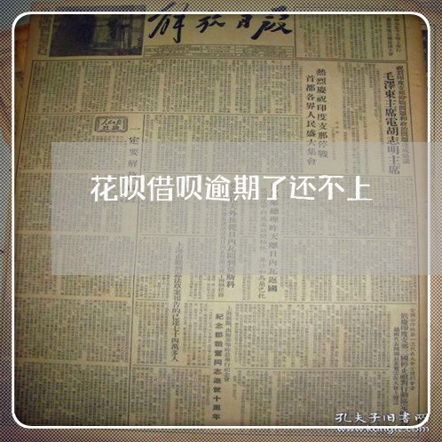 花呗借呗逾期了还不上/2023030214140 花呗借呗逾期了还不上/2023030214140