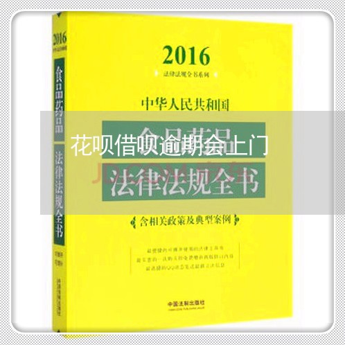 花呗借呗逾期会上门/2023012785930