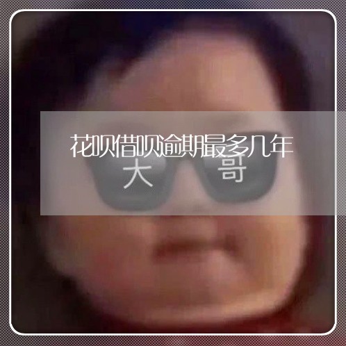 花呗借呗逾期最多几年/2023030101746