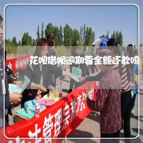 花呗借呗逾期要全额还款吗