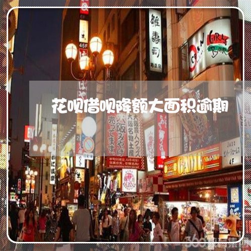 花呗借呗降额大面积逾期/2023030135381