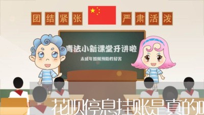 花呗停息挂账是真的吗/2023022054150