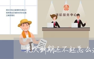 花呗到期还不起怎么办/2023011988059