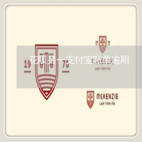 花呗另一支付宝账单逾期/2023030160623