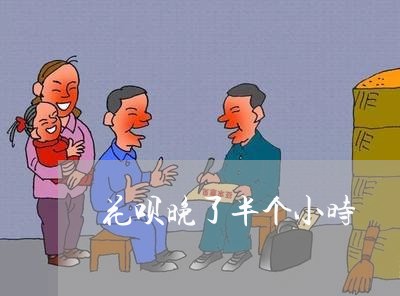 花呗晚了半个小时/2023030248169 花呗晚了半个小时/2023030248169