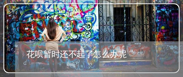 花呗暂时还不起了怎么办呢/2023030106351 花呗暂时还不起了怎么办呢/2023030106351