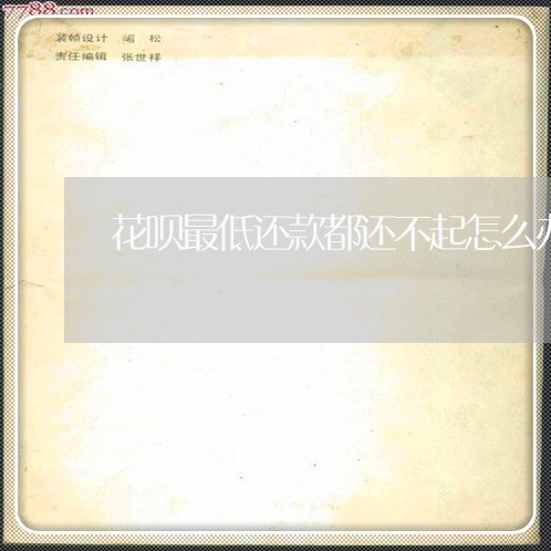 花呗最低还款都还不起怎么办呢/2023030106248