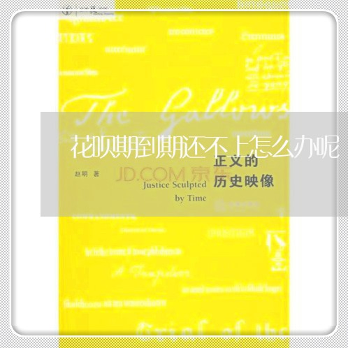 花呗期到期还不上怎么办呢/2023030147251