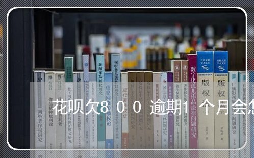 花呗欠800逾期1个月会怎么样/2023061935039