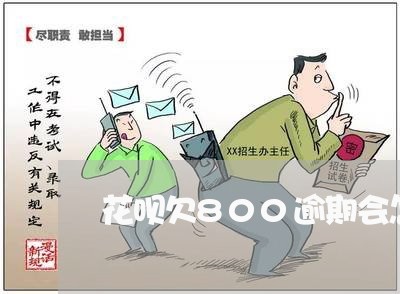 花呗欠800逾期会怎么样/2023021022375