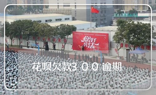花呗欠款300逾期 花呗欠款300逾期