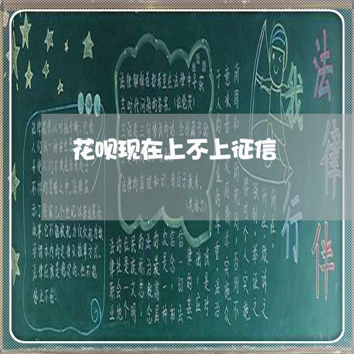 花呗现在上不上征信/2023022460261 花呗现在上不上征信/2023022460261