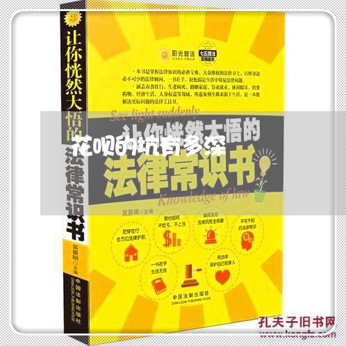 花呗的坑有多深/2023030236470 花呗的坑有多深/2023030236470