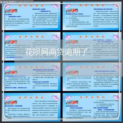花呗网商贷逾期了/2023022608482 花呗网商贷逾期了/2023022608482