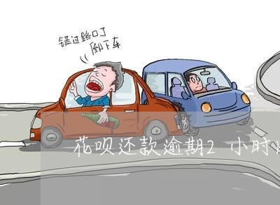 花呗还款逾期2小时内还/2023032972604