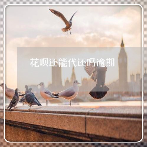 花呗还能代还吗逾期 花呗还能代还吗逾期