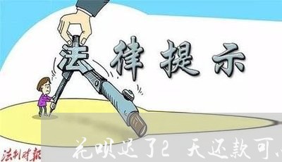 花呗迟了2天还款可以/2023022526171