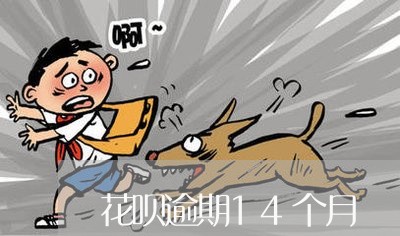 花呗逾期14个月 花呗逾期14个月