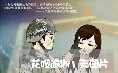 花呗逾期1天图片 花呗逾期1天图片