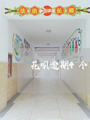 花呗逾期4个月什么时候恢复 花呗逾期4个月什么时候恢复