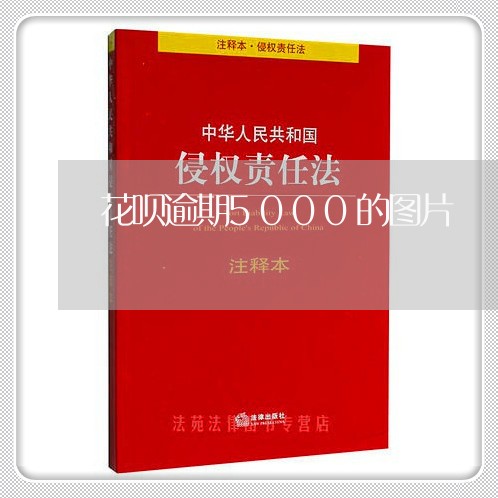花呗逾期5000的图片