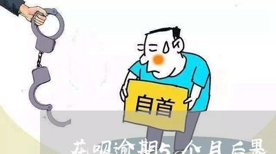 花呗逾期5个月后果