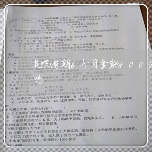 花呗逾期6个月金额4000有催收上门的吗