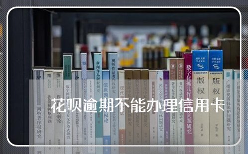 花呗逾期不能办理信用卡/2023032694615