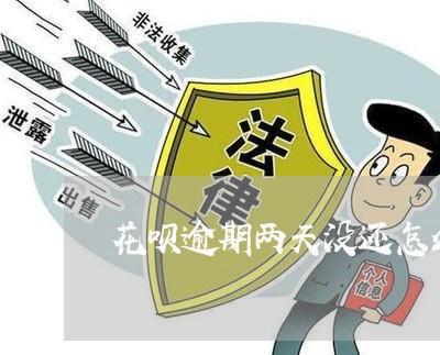 花呗逾期两天没还怎么办 花呗逾期两天没还怎么办