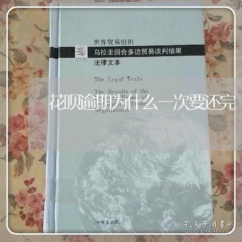 花呗逾期为什么一次要还完/2023060640384