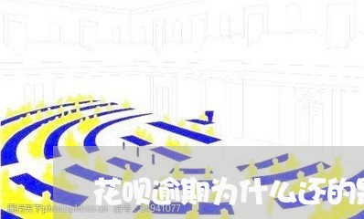 花呗逾期为什么还的是利息/2023032662826
